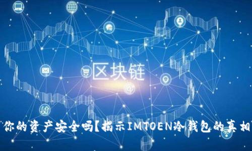 你的资产安全吗？揭示IMTOEN冷钱包的真相