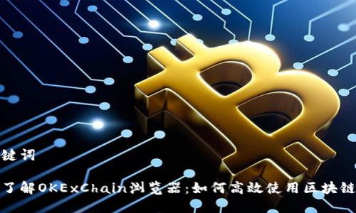 和关键词

全面了解OKExChain浏览器：如何高效使用区块链数据
