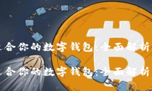 如何选择适合你的数字钱包：全面解析与使用指南

如何选择适合你的数字钱包：全面解析与使用指南