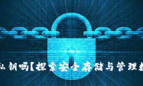 冷钱包能导入私钥吗？探索安全存储与管理数字资产的方法