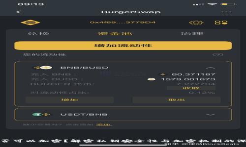 私钥是否可以加密？解密私钥安全性与加密机制的深度探讨