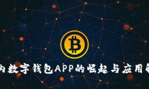 国内数字钱包APP的崛起与应用解析