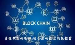 多链钱包的选择：适合您的最佳钱包推荐