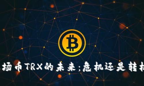 波场币TRX的未来：危机还是转机？