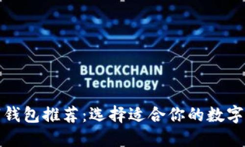 最强数字钱包推荐：选择适合你的数字钱包软件
