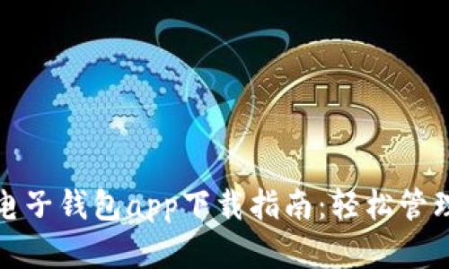 中国银行电子钱包app下载指南：轻松管理您的资金