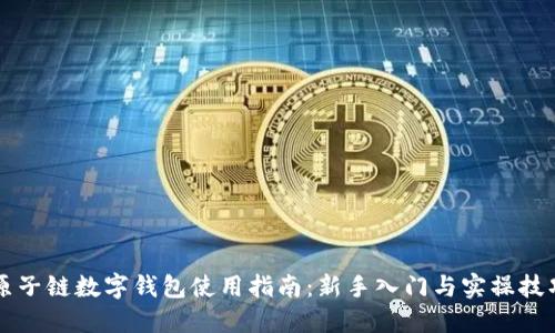 原子链数字钱包使用指南：新手入门与实操技巧